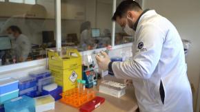 Nuevo linaje es investigado como nueva variante del COVID-19: Mayormente presente en Perú y Chile