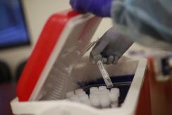 Coronavirus en Chile: 6.181 nuevos contagios y 136 muertes en las últimas 24 horas Coronavirus en Chile: 6.181 nuevos contagios y 136 muertes en las últimas 24 horas