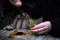 Perro vela por la buena fabricación del whisky en Escocia Perro vela por la buena fabricación del whisky en Escocia