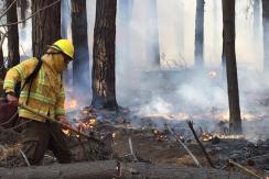 Declaran alerta roja en Valparaíso por incendio en la reserva nacional Lago Peñuelas Declaran alerta roja en Valparaíso por incendio en la reserva nacional Lago Peñuelas