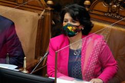 Provoste tras aprobación del IFE Universal: "Este trabajo no ha concluido" Provoste tras aprobación del IFE Universal: "Este trabajo no ha concluido"