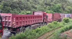 Camioneros intentan bloquear paso de elefantes en China Camioneros intentan bloquear paso de elefantes en China