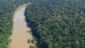 Los habitantes de la Amazonía peruana vivieron "de manera sostenible" durante más de 5.000 años Los habitantes de la Amazonía peruana vivieron "de manera sostenible" durante más de 5.000 años