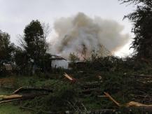 Tromba marina provocó caída de árboles e incendio en Toltén: ¿Por qué se produce este fenómeno?