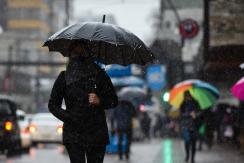 ¿Por qué fallan los pronósticos de lluvia? ¿Por qué fallan los pronósticos de lluvia?