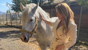 "Es mía": Cathy Barriga asegura que la yegua Julieta no es de la Municipalidad de Maipú "Es mía": Cathy Barriga asegura que la yegua Julieta no es de la Municipalidad de Maipú