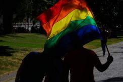 Gobierno destaca aprobación de matrimonio igualitario en el Senado y pide celeridad a la Cámara Gobierno destaca aprobación de matrimonio igualitario en el Senado y pide celeridad a la Cámara