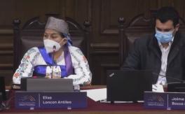 "Tengo derecho a hablar como mapuche": el tenso cruce entre Loncón y Marinovic en la Convención "Tengo derecho a hablar como mapuche": el tenso cruce entre Loncón y Marinovic en la Convención