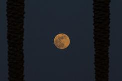 Qué es el bamboleo de la Luna y qué tiene que ver con las mareas e inundaciones en el mundo Qué es el bamboleo de la Luna y qué tiene que ver con las mareas e inundaciones en el mundo