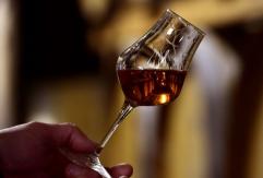 ¿Oportunidad para Chile? Producción de vino francés está en un nivel "históricamente bajo" ¿Oportunidad para Chile? Producción de vino francés está en un nivel "históricamente bajo"