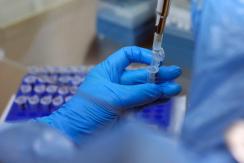 Seremi de Salud confirma cuatro casos de variante Delta en Atacama Seremi de Salud confirma cuatro casos de variante Delta en Atacama