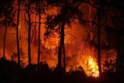 [VIDEO] Alerta en el Mediterráneo: Incendios arrasan en Turquía, Italia y Grecia