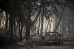 "La noche fue un infierno": los vecinos de Varympompi se enfrentan al "desastre" del fuego en Grecia "La noche fue un infierno": los vecinos de Varympompi se enfrentan al "desastre" del fuego en Grecia