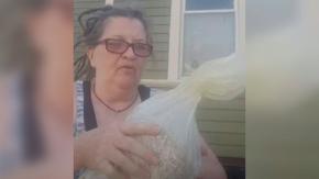 "Por las veces que me pateó la cabeza": Mujer tira las cenizas de su esposo muerto a la basura "Por las veces que me pateó la cabeza": Mujer tira las cenizas de su esposo muerto a la basura