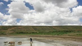 Los principales hallazgos para América Latina del informe de la ONU sobre la crisis climática Los principales hallazgos para América Latina del informe de la ONU sobre la crisis climática