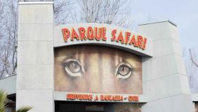 Parque Safari de Rancagua tenía infracciones por no informar accidente laboral en mayo Parque Safari de Rancagua tenía infracciones por no informar accidente laboral en mayo