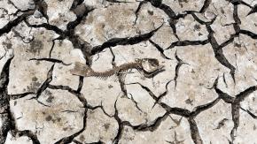 La "mancha caliente" en el océano Pacífico que estaría provocando la megasequía en Chile La "mancha caliente" en el océano Pacífico que estaría provocando la megasequía en Chile