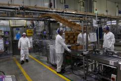 Subsidio al Empleo: Beneficios de líneas "Regresa y Contrata" se otorgarán por un máximo de 4 meses Subsidio al Empleo: Beneficios de líneas "Regresa y Contrata" se otorgarán por un máximo de 4 meses