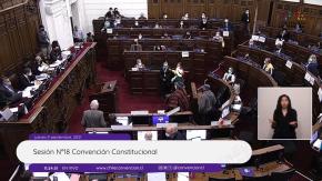 "Esta no es la forma": El tenso intercambio entre constituyentes y la mesa de la Convención "Esta no es la forma": El tenso intercambio entre constituyentes y la mesa de la Convención