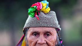 Lengua mapuche: el misterio de su origen y otras singularidades del mapudungún Lengua mapuche: el misterio de su origen y otras singularidades del mapudungún