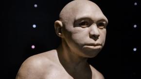 5 especies de humanos que han existido y que quizás no conocías 5 especies de humanos que han existido y que quizás no conocías