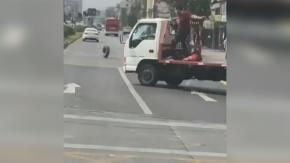 Captan violenta pelea en San Miguel: Camión terminó chocando un poste tras agresiones al conductor Captan violenta pelea en San Miguel: Camión terminó chocando un poste tras agresiones al conductor