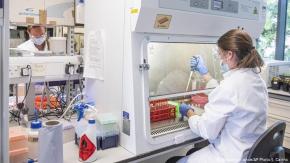 OMS nombra comité de expertos para investigar el origen del coronavirus OMS nombra comité de expertos para investigar el origen del coronavirus