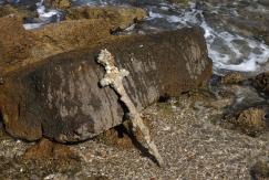 Un buzo encuentra en Israel una espada de un cruzado de hace 900 años Un buzo encuentra en Israel una espada de un cruzado de hace 900 años