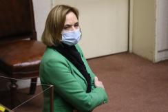Goic reafirma intención de votar en contra del cuarto retiro: "Esto no es un capricho" Goic reafirma intención de votar en contra del cuarto retiro: "Esto no es un capricho"