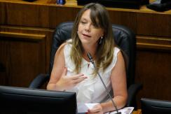Constituyentes desmienten a Von Baer tras franja en que los acusaba de querer "cambiar la bandera" Constituyentes desmienten a Von Baer tras franja en que los acusaba de querer "cambiar la bandera"