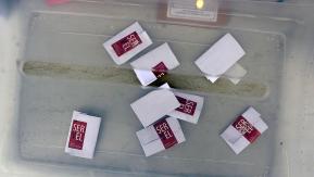 ¿Por qué no se elige senador o senadora en todas las regiones para estas elecciones? ¿Por qué no se elige senador o senadora en todas las regiones para estas elecciones?