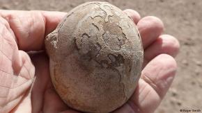 Encuentran un nido con más de 100 huevos de dinosaurios en la patagonia argentina Encuentran un nido con más de 100 huevos de dinosaurios en la patagonia argentina
