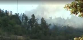 Incendio se registran en la cara norte del Cerro San Cristóbal