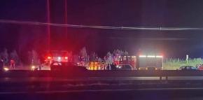 Accidente deja a un hombre y dos caballos fallecidos en Pemuco: Conductor de camión no los vio Accidente deja a un hombre y dos caballos fallecidos en Pemuco: Conductor de camión no los vio