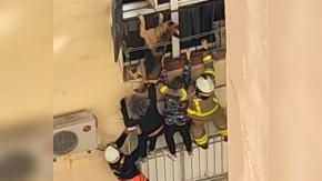La heroica acción de dos vecinas para salvar a un perro de morir estrangulado por su propia correa La heroica acción de dos vecinas para salvar a un perro de morir estrangulado por su propia correa