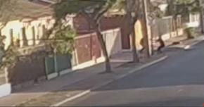[VIDEO] Atacaba a mujeres: Detienen a "psicópata del destornillador" en Ovalle