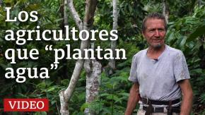Los agricultores que convirtieron un desierto en un bosque Los agricultores que convirtieron un desierto en un bosque