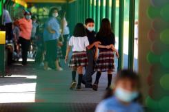 Identifican características que explicarían el PIMS en niños post infección de COVID-19 Identifican características que explicarían el PIMS en niños post infección de COVID-19