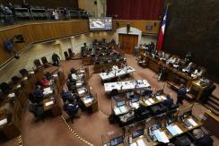 Así quedó conformado el Senado con los 29 nuevos parlamentarios Así quedó conformado el Senado con los 29 nuevos parlamentarios