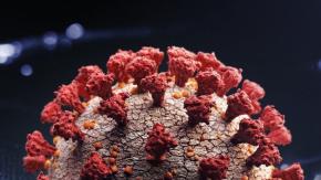 B.1.1.529: por qué causa preocupación la variante del coronavirus hallada en Sudáfrica B.1.1.529: por qué causa preocupación la variante del coronavirus hallada en Sudáfrica