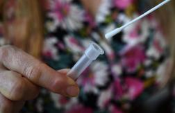 Los países que han confirmado la presencia de la variante de coronavirus surgida en Sudáfrica Los países que han confirmado la presencia de la variante de coronavirus surgida en Sudáfrica