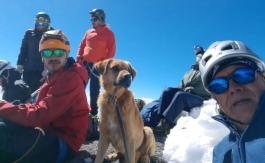 Alpinistas rescatan a un perrito callejero que sobrevivió un mes en la montaña más alta de México Alpinistas rescatan a un perrito callejero que sobrevivió un mes en la montaña más alta de México