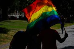 Proyecto de matrimonio igualitario se vota este martes en el Senado: podría convertirse en ley Proyecto de matrimonio igualitario se vota este martes en el Senado: podría convertirse en ley