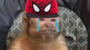 Los mejores memes que ha dejado la venta de entradas para "Spider-Man: No Way Home" Los mejores memes que ha dejado la venta de entradas para "Spider-Man: No Way Home"