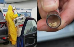 Detectan plaga de "alta peligrosidad" en vehículos nuevos que llegaron a Chile Detectan plaga de "alta peligrosidad" en vehículos nuevos que llegaron a Chile