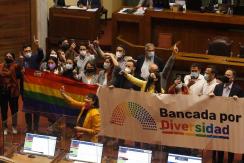 Con la derecha dividida: Así se votó en el Congreso la aprobación del matrimonio igualitario Con la derecha dividida: Así se votó en el Congreso la aprobación del matrimonio igualitario