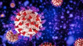 Covid-19: cómo actúa ómicron y cómo defendernos de esta nueva variante Covid-19: cómo actúa ómicron y cómo defendernos de esta nueva variante