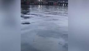 Derrame de petróleo afecta cercanías del Puerto de Ventanas en Quintero Derrame de petróleo afecta cercanías del Puerto de Ventanas en Quintero