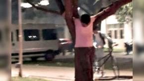 "Me drogaron": Joven fue "crucificado" en un árbol tras fiesta de egresados en universidad "Me drogaron": Joven fue "crucificado" en un árbol tras fiesta de egresados en universidad