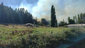 Onemi declara alerta roja en Las Cabras por incendio forestal Onemi declara alerta roja en Las Cabras por incendio forestal